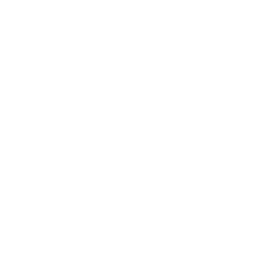 IconEmail